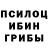 Галлюциногенные грибы MAGIC MUSHROOMS IMTHEBIGGESTCUNT