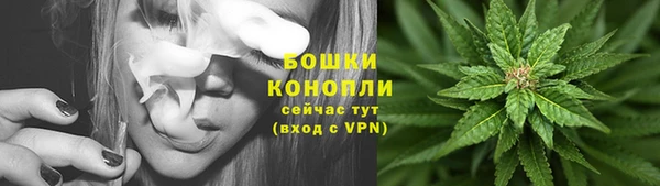бошки Пестово