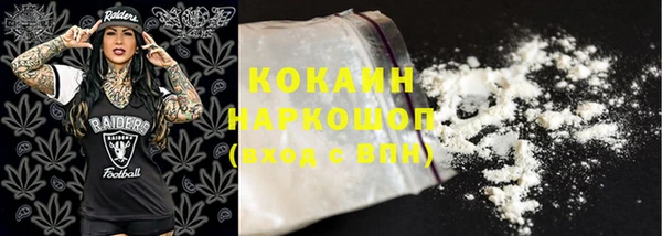 прущие крисы Пересвет