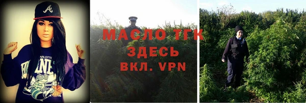 прущие крисы Пересвет